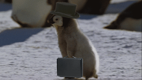 00000000000.gif