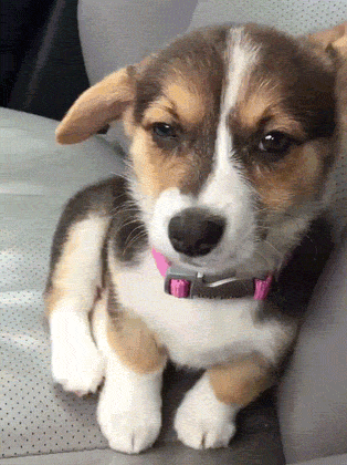 00000000005644564564564564645giphy.gif
