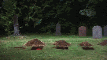 000a.gif