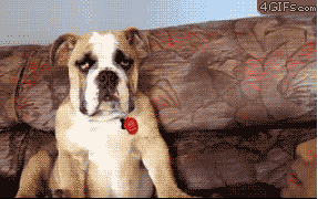 009843001460874960.gif