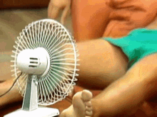 01giphy.gif