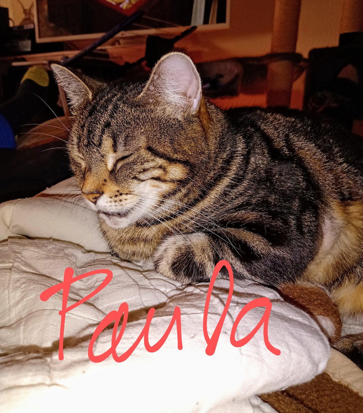 02523D85-97AB-408B-8369-4CA8CC566579.jpeg