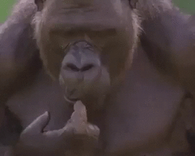 02giphy.gif