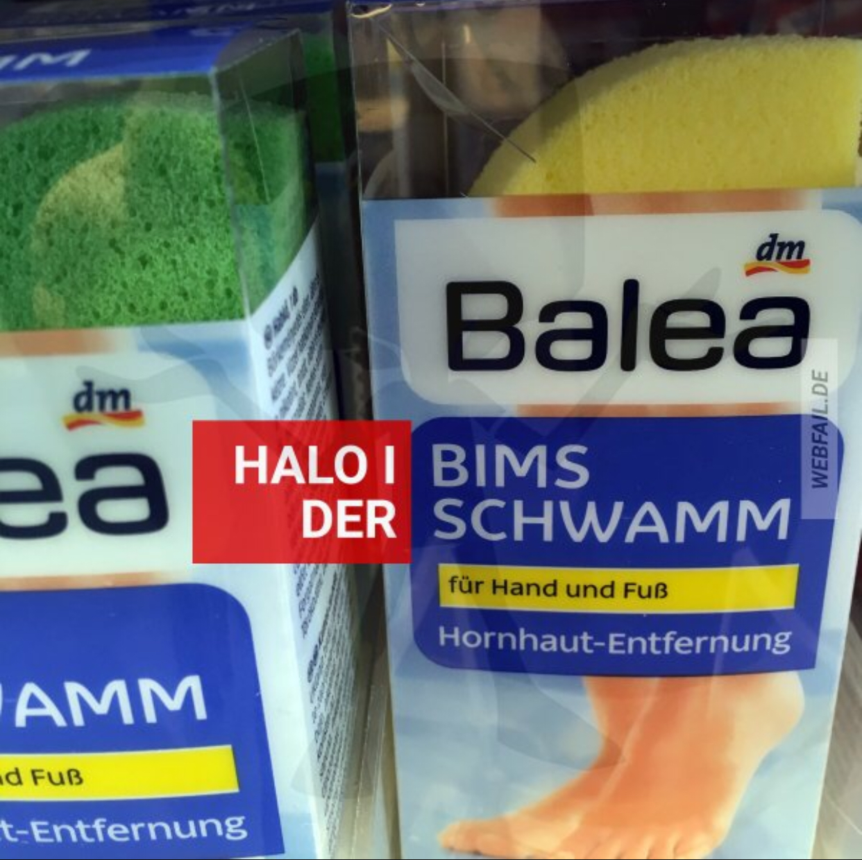 04132485-C602-47A6-B3D3-836A32442A76.jpeg