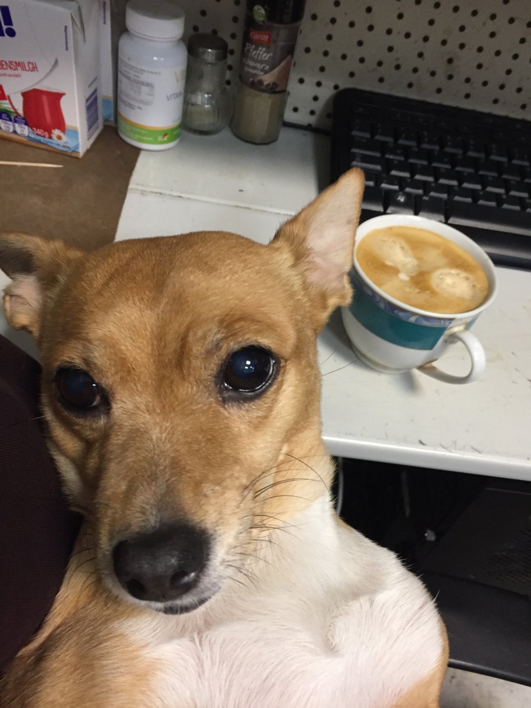 059770CB-BC0B-40B6-871B-98D4845312ED.jpeg