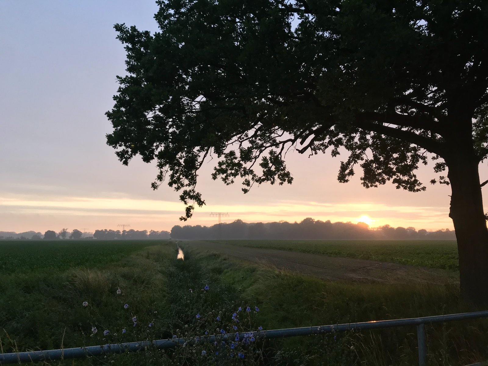 0A3C78F1-2763-423B-967C-EDB0136C100D.jpeg