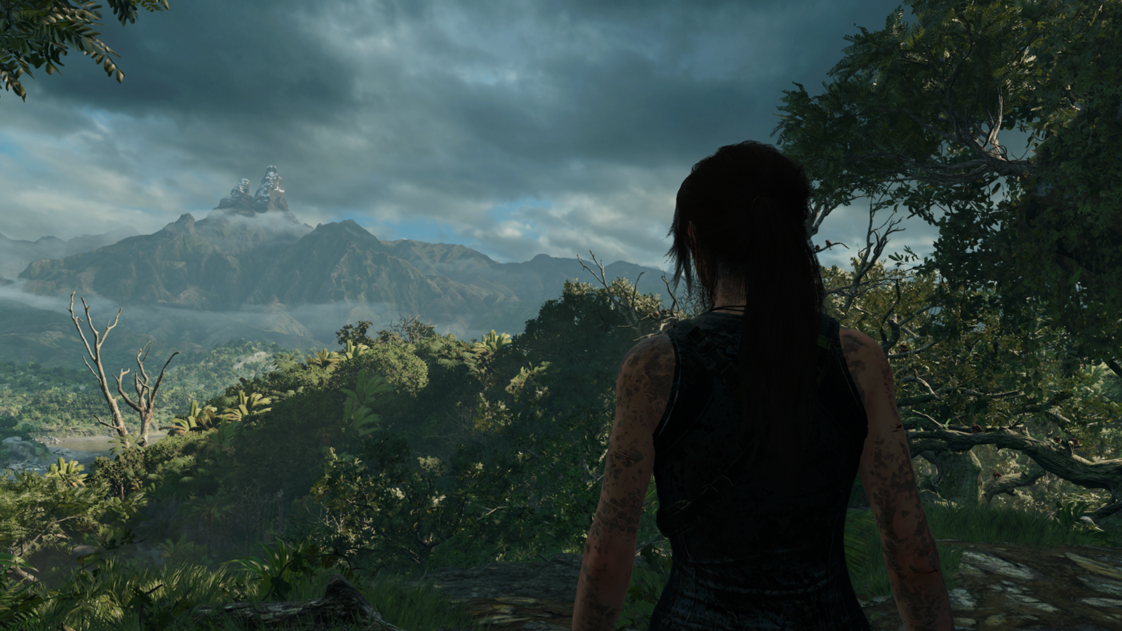 0e8f3639-7603-4992-8be3-7bb0d2989cb5.PNG