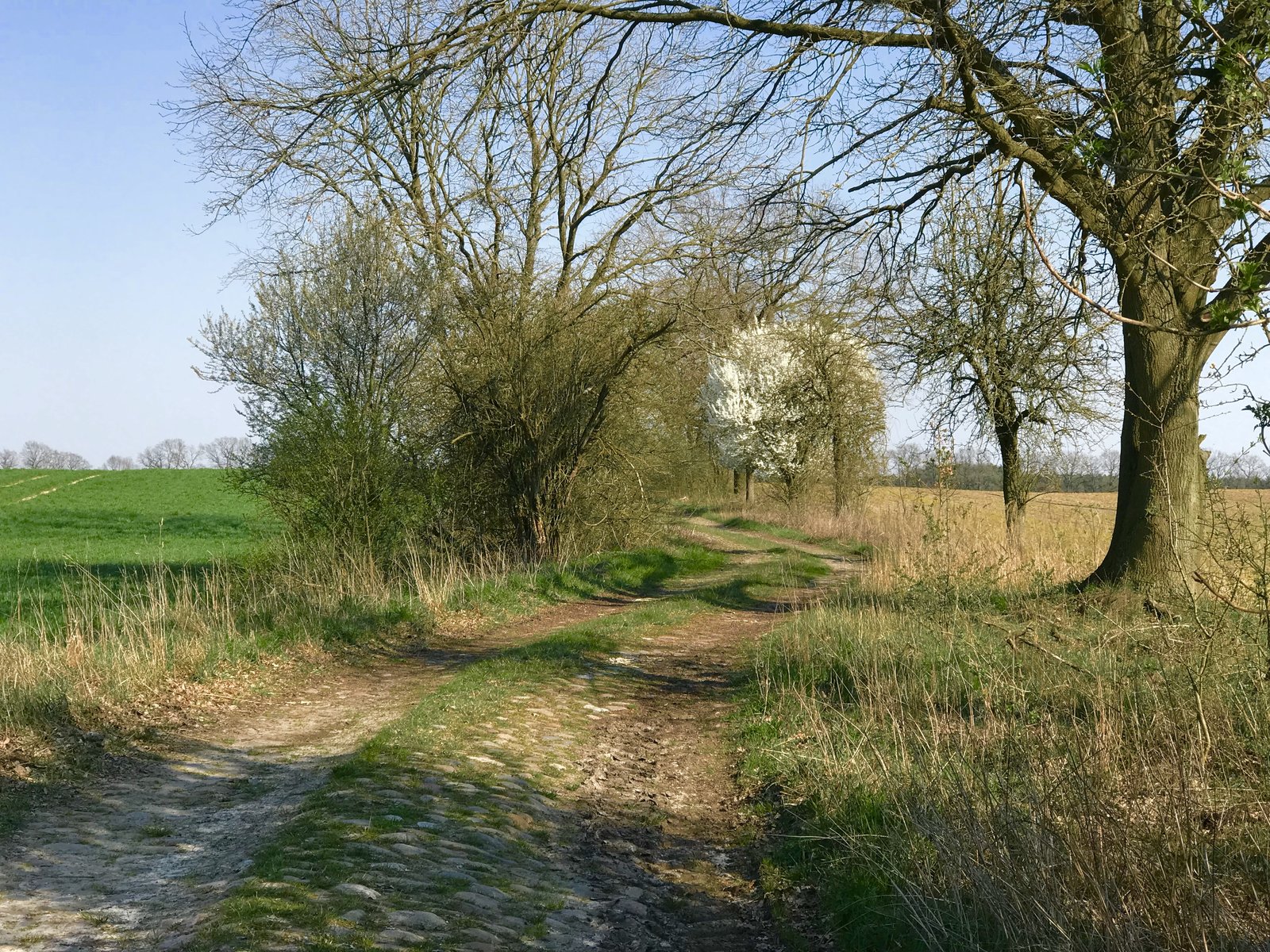 0FE09ECC-E17F-441C-90F9-DAF86E21B78E.jpeg