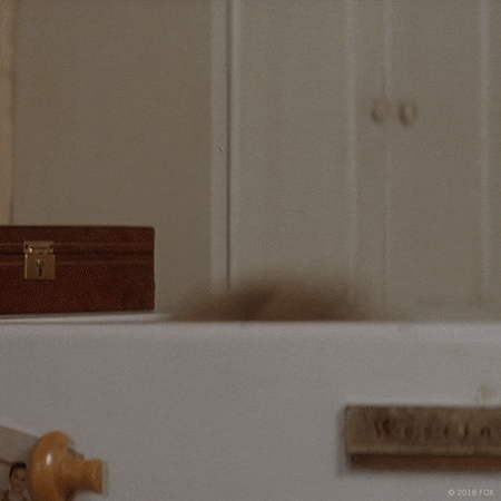 1.gif