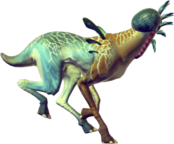 10.png