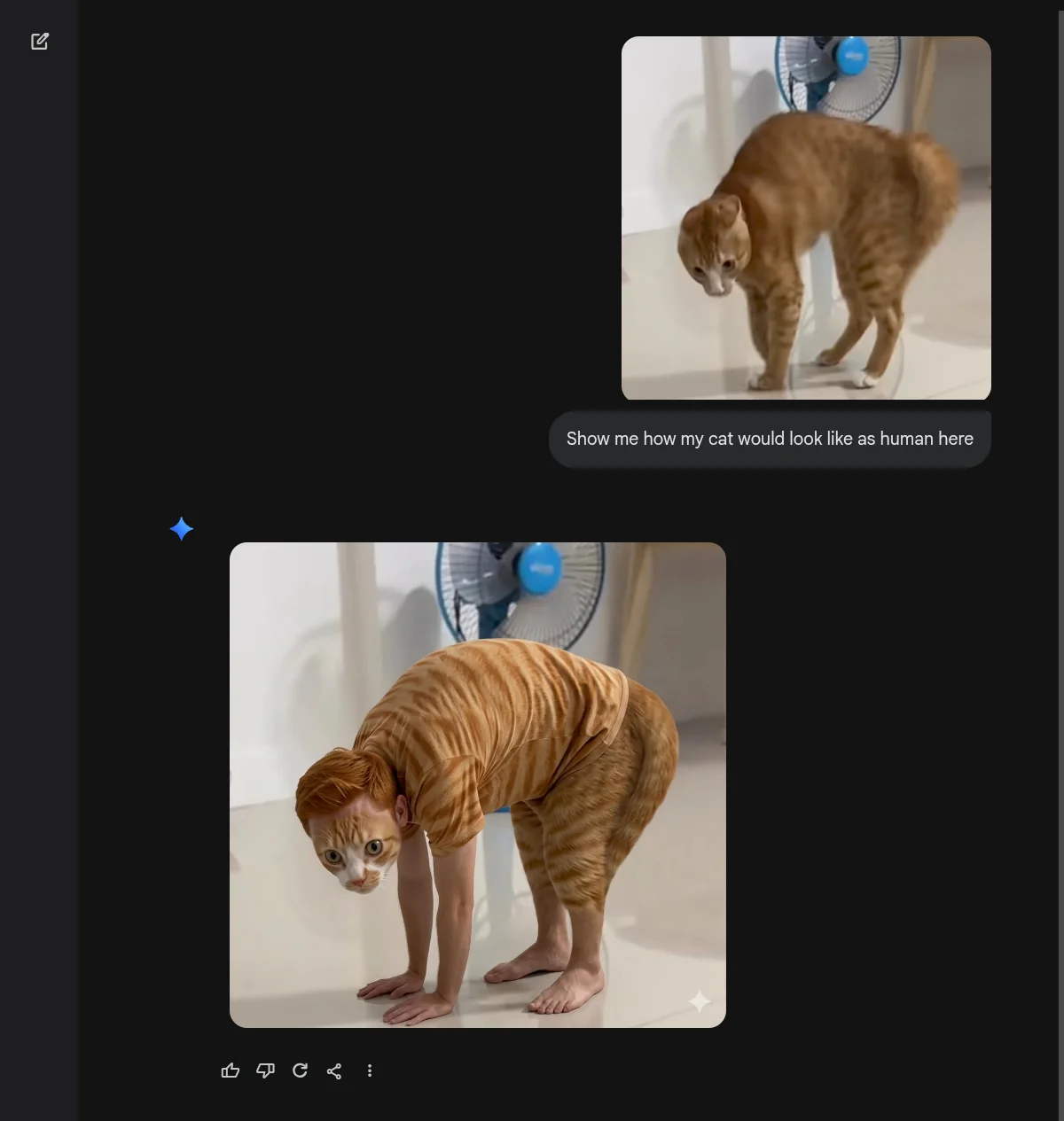1000012529.webp