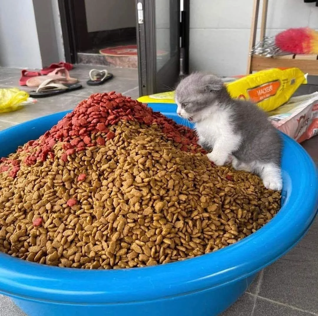 1000014096.webp