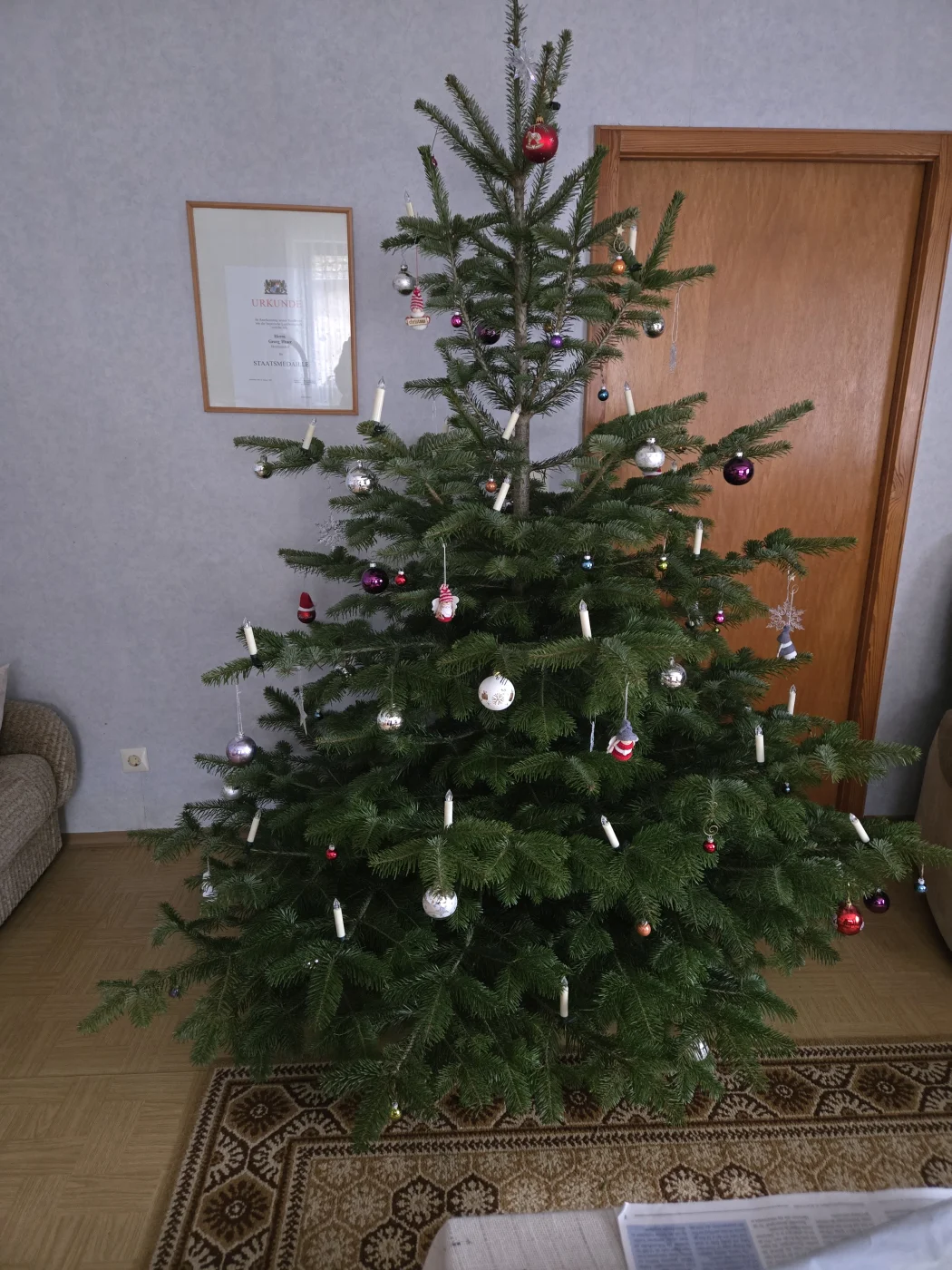 1000044260.webp