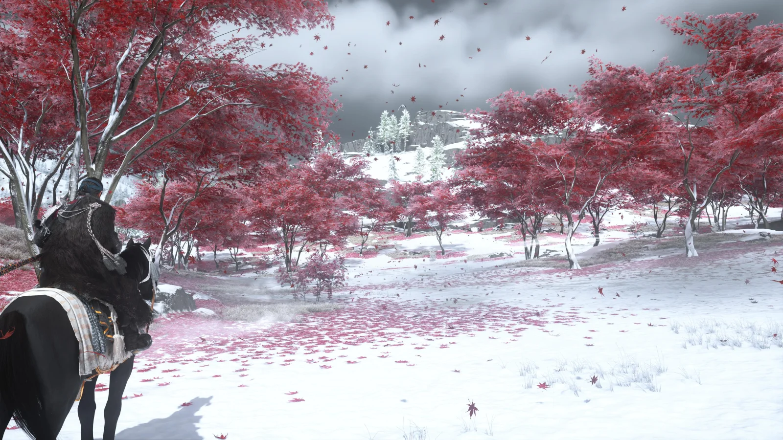 1000052724.webp