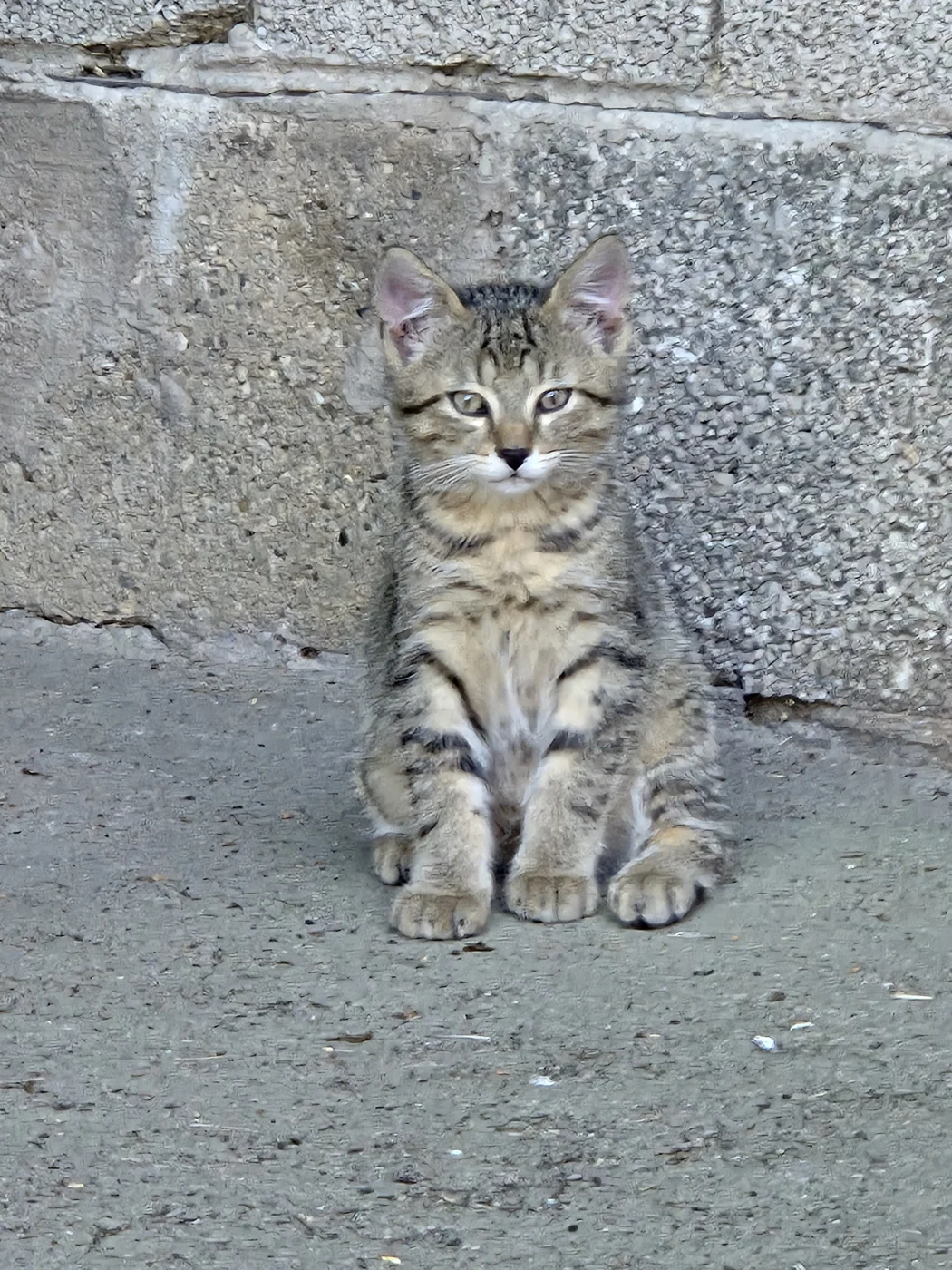 1000069900.webp