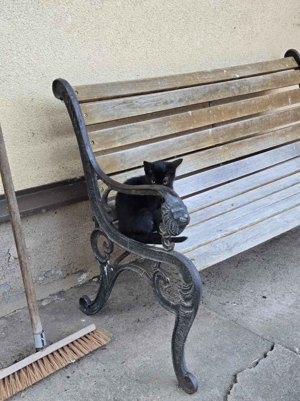 1000069910.webp