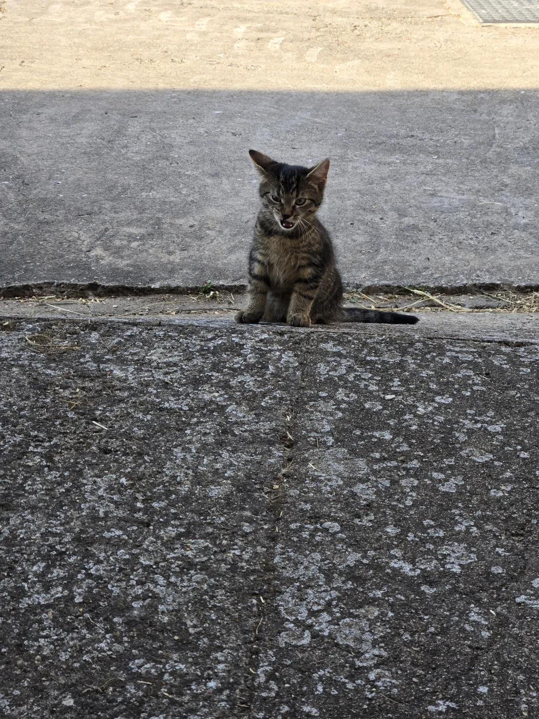 1000071813.webp