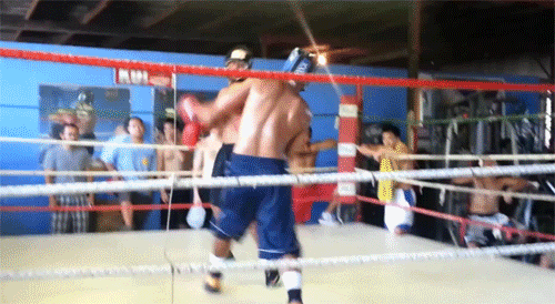 11.gif