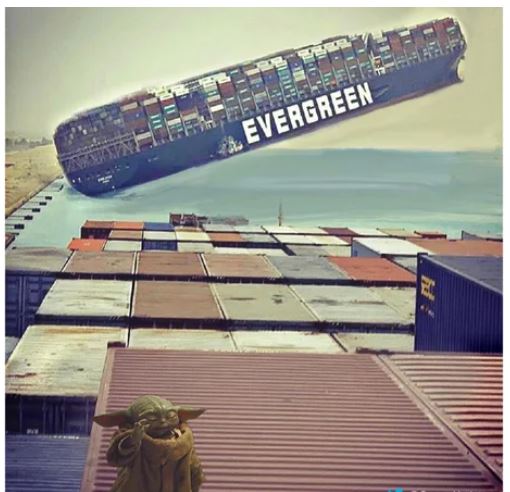 111.JPG