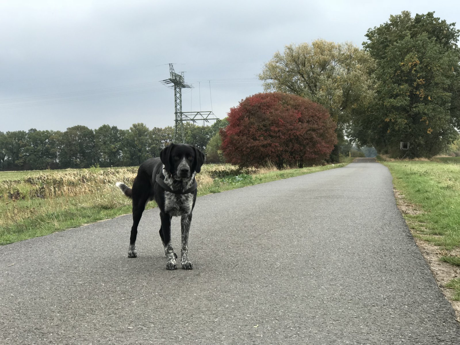 114806F0-E166-42F0-8A18-7182ED3F47A9.jpeg