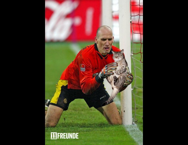 11f_katzenfaenger4.jpg