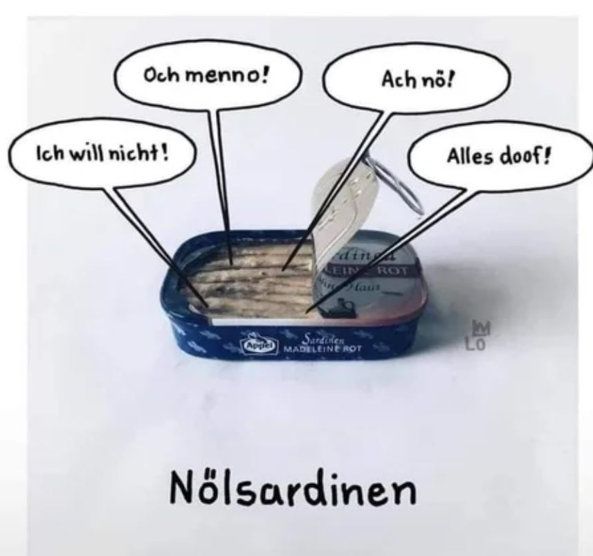 123.JPG