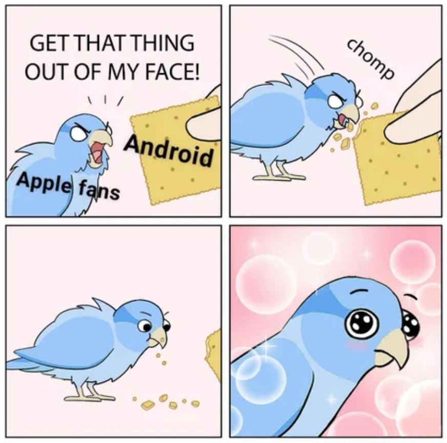 123.JPG
