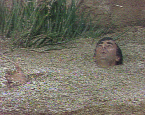 123456giphy.gif