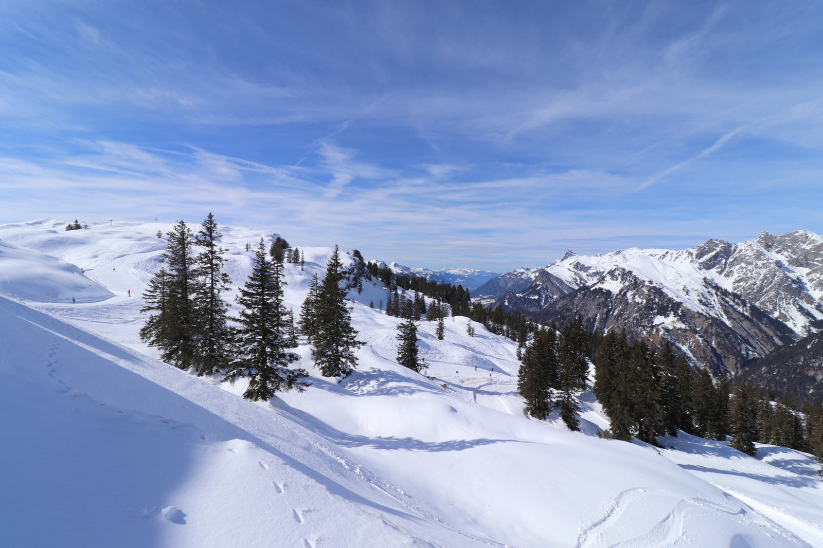 13A7D559-8D3E-4816-BBFE-489640F821EF.jpeg