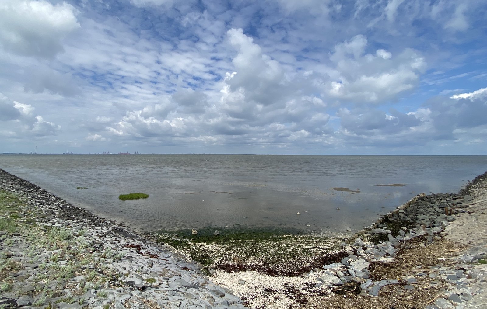 13B13E64-B7E5-4A06-8114-B81A417C5908.jpeg