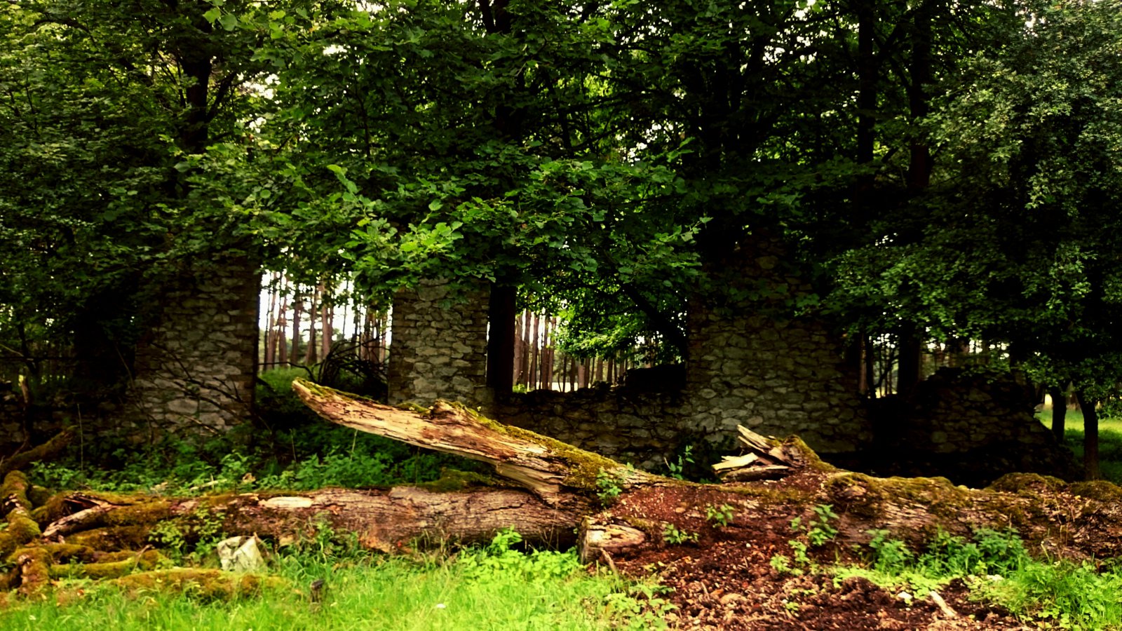 1500818483437.jpg