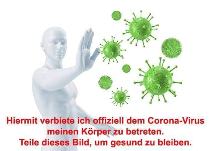 1517_6fa2c0e0bf8e12b91d3c4d34a51243f578122255.jpg