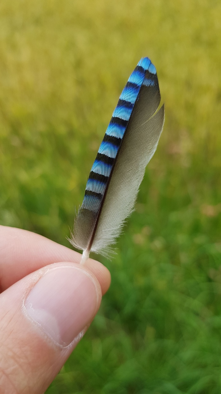 15290600340610.jpg
