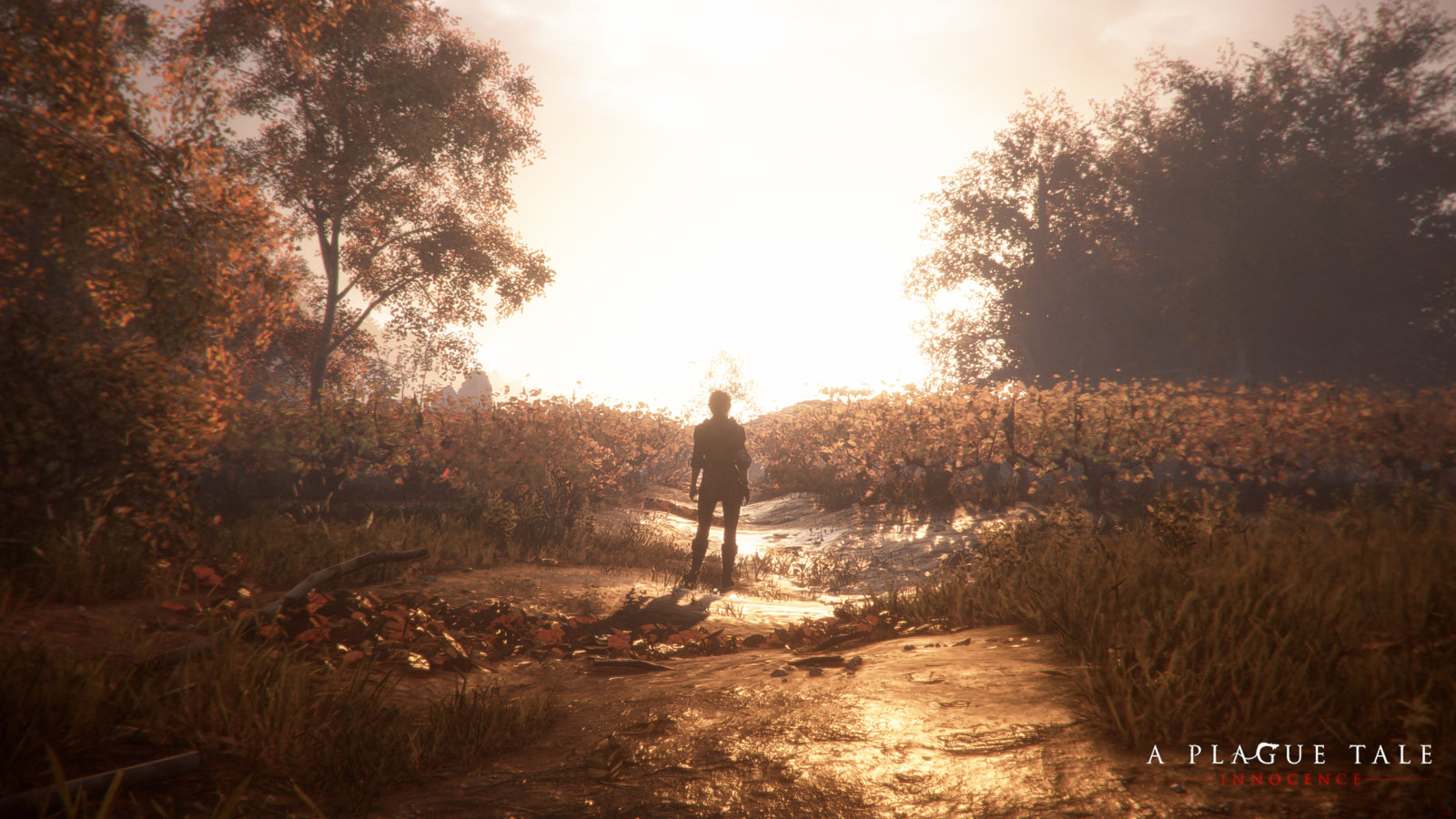1544093059616-a_plague_tale-innocence-10_logo.jpg