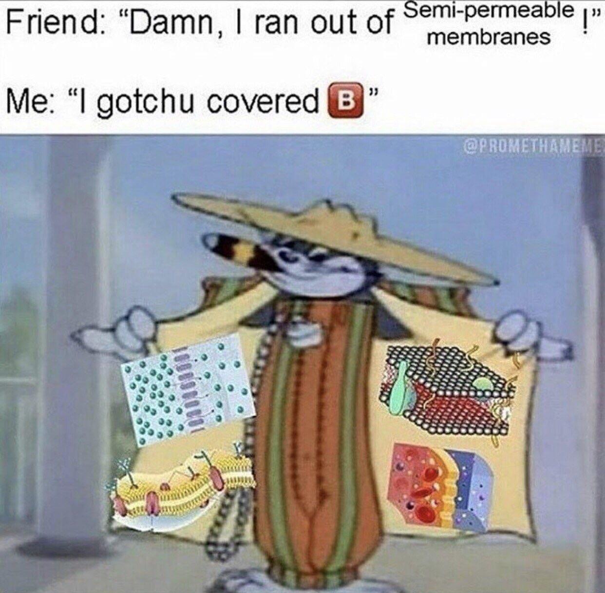 1555037426513.jpg