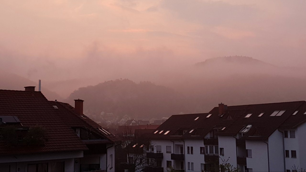 15552178424620.jpg