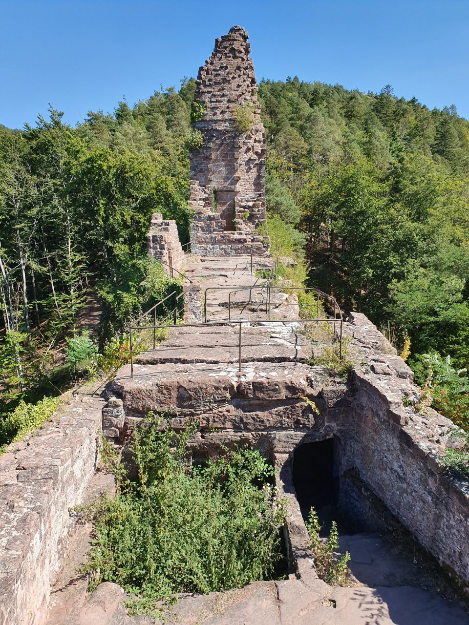 15676094915014.jpg