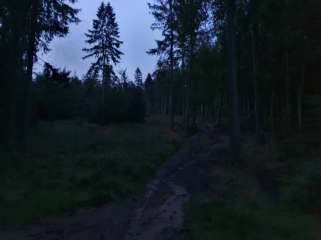 15975243665920.jpg