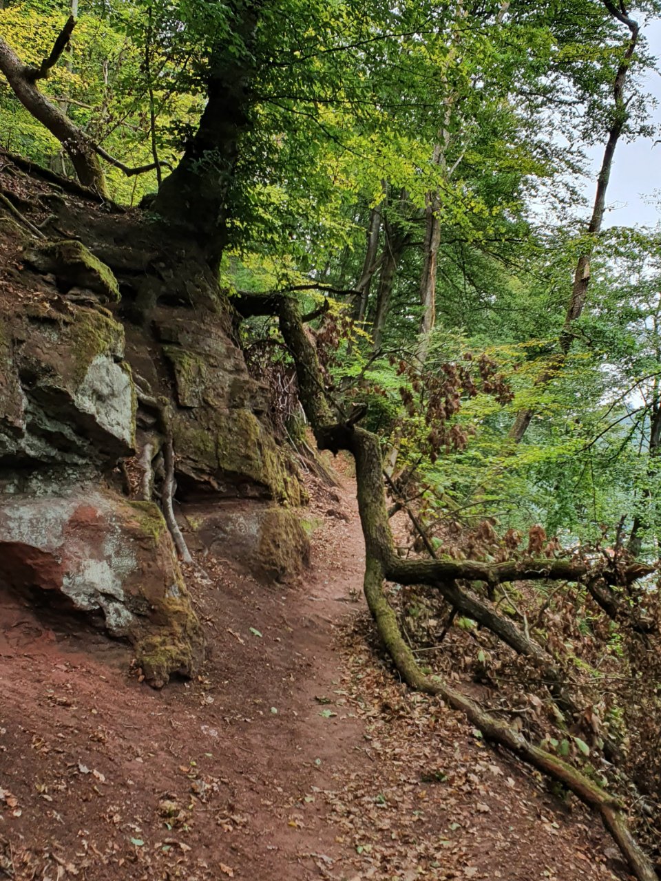 15985599208362.jpg