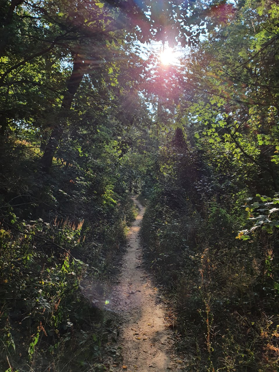 16004256315252.jpg
