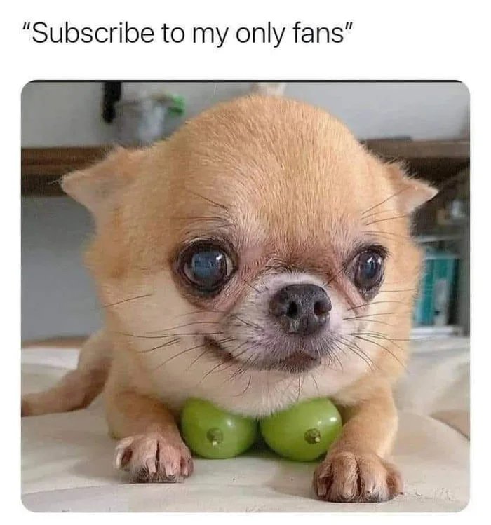 1628579913000.jpg