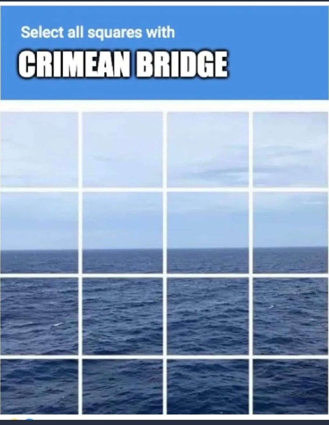 1665237222530.jpg
