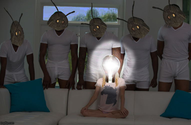 1685809.png