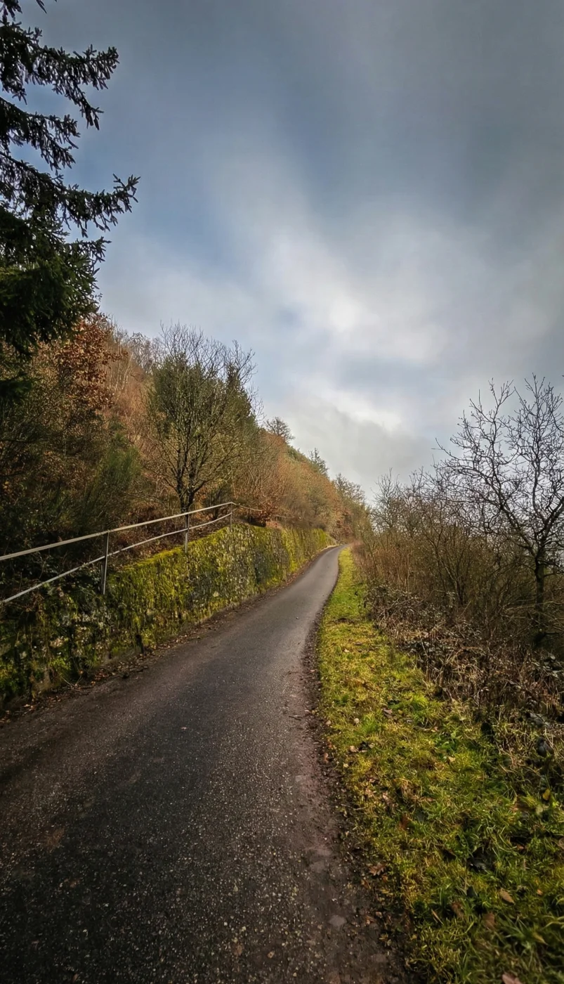 1769259908342(1).webp