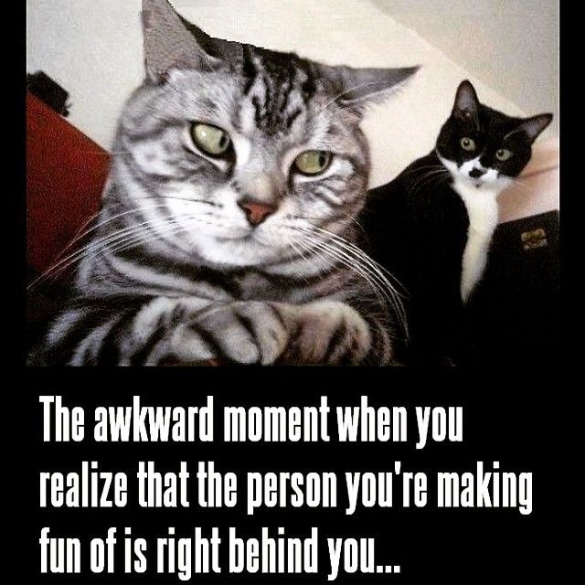 177186-That-Awkward-Moment-.jpg