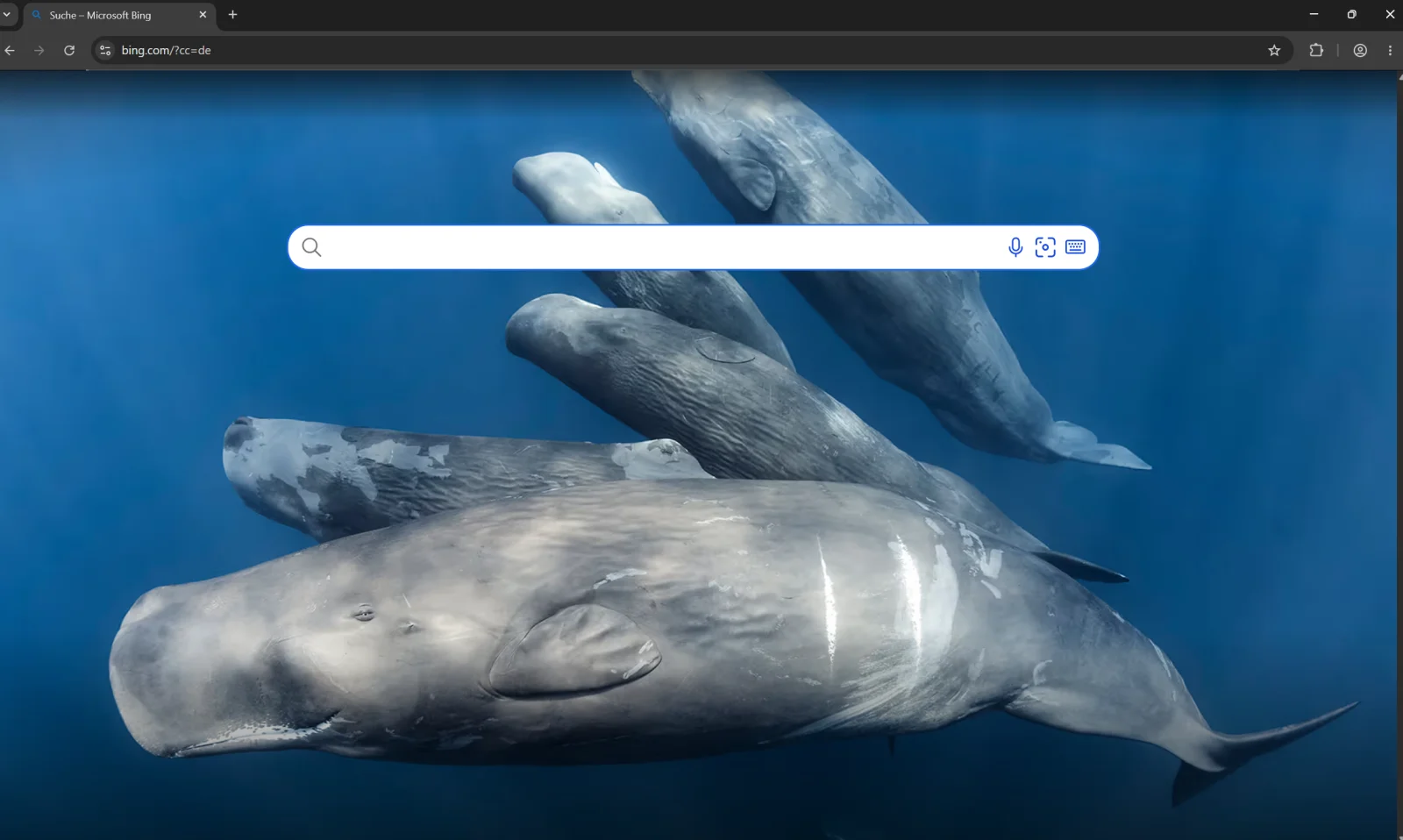 1778853858098.webp