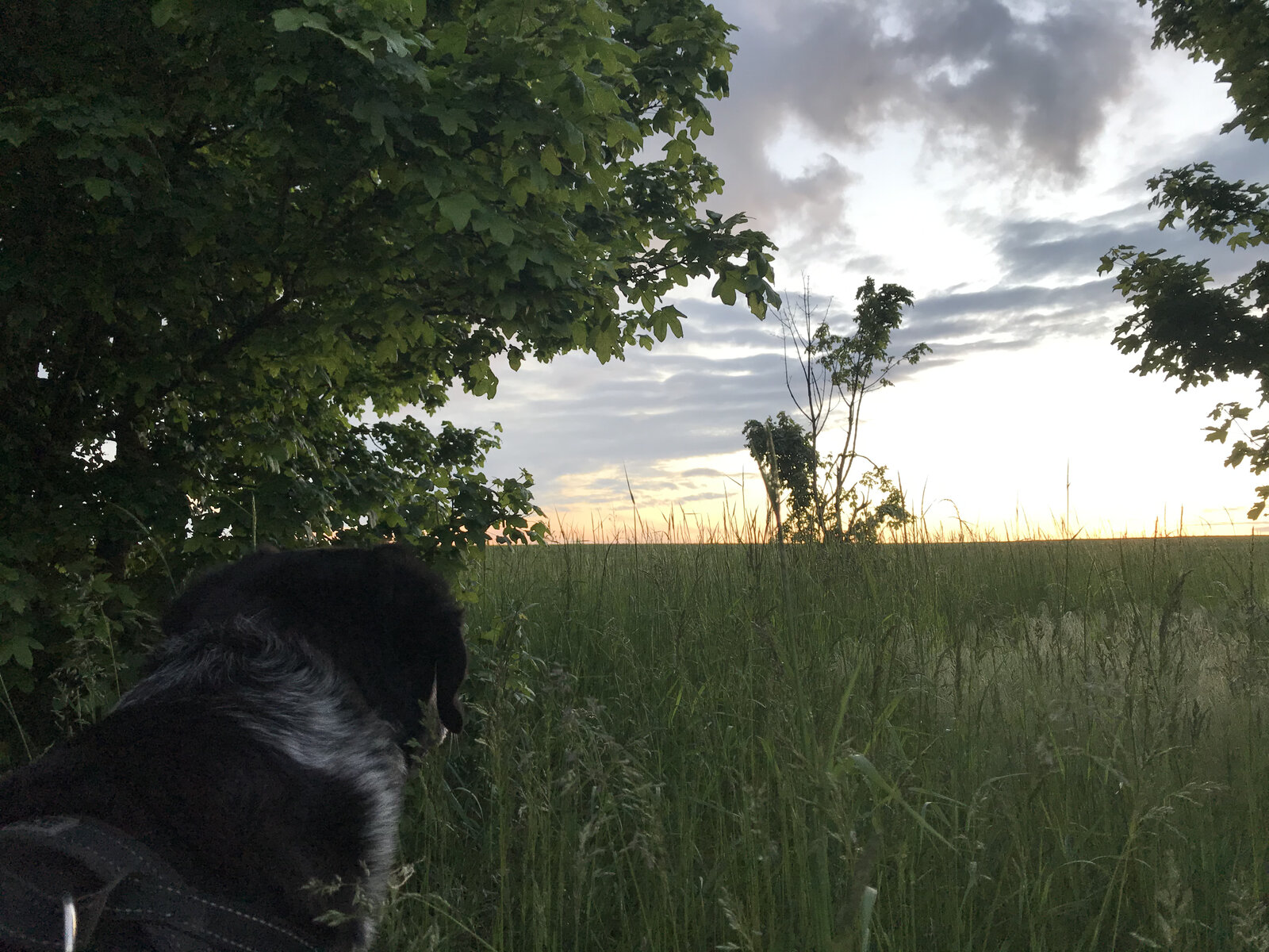17928978-D239-4E50-98BD-7049C2E85700.jpeg