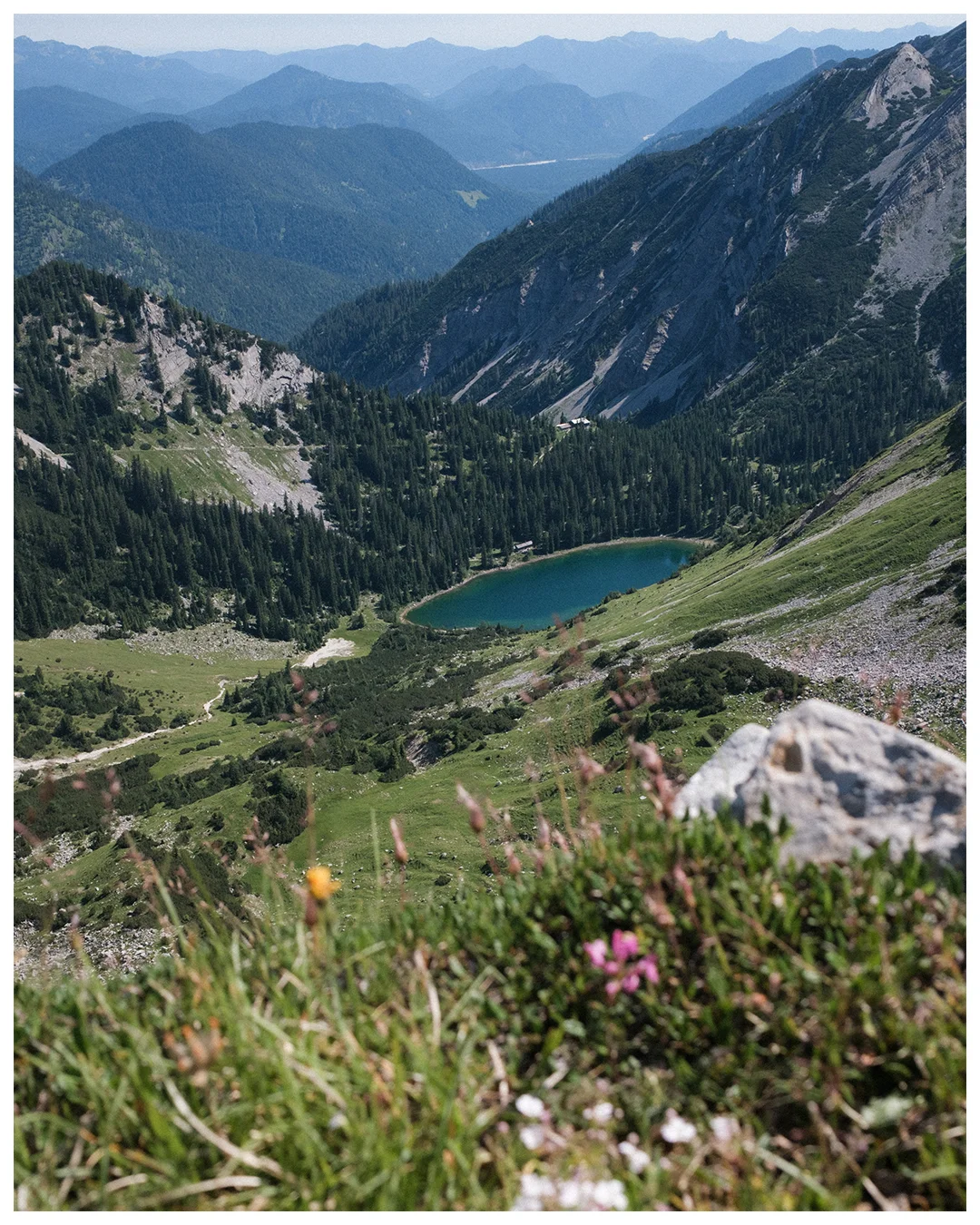 19.webp