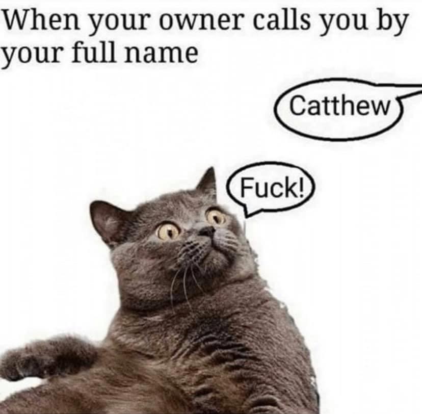 1A697FDA-817E-4068-95A7-A45F21CFAF7C.jpeg