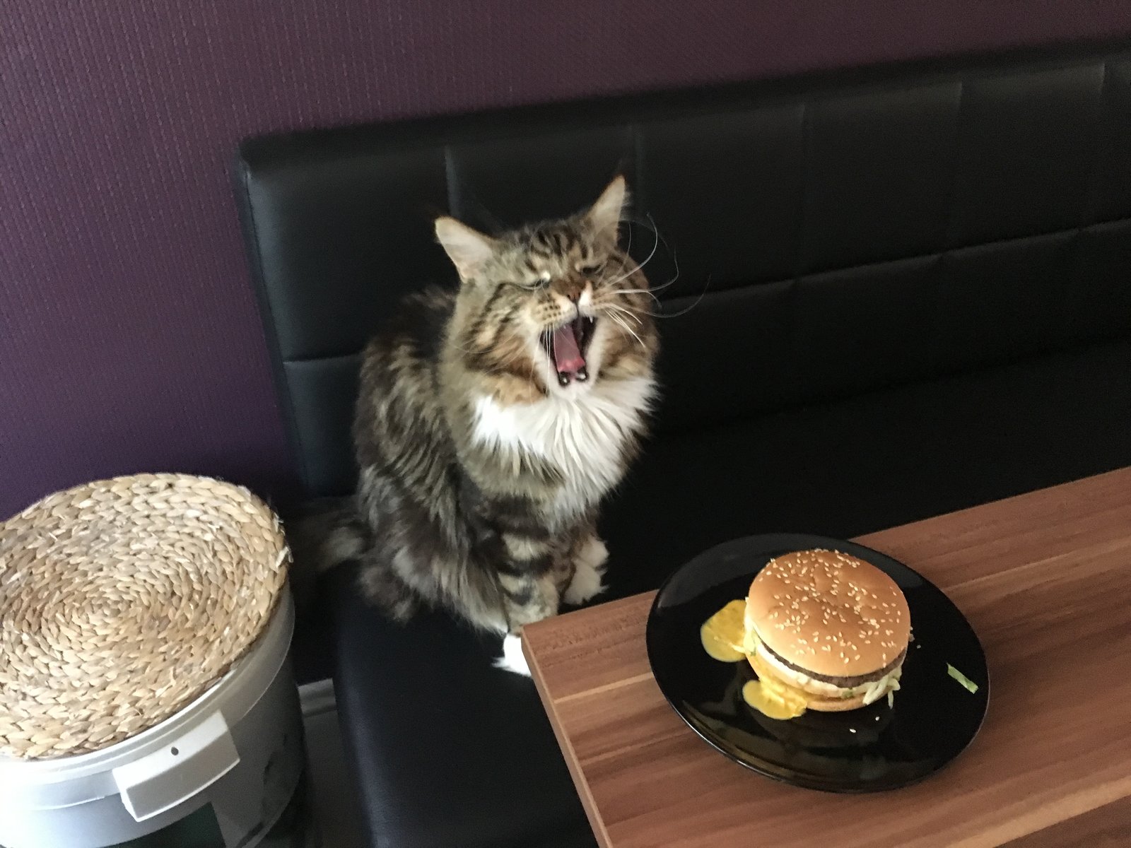 1AAE5D96-45C5-4E88-9043-657FBE0C7F67.jpeg